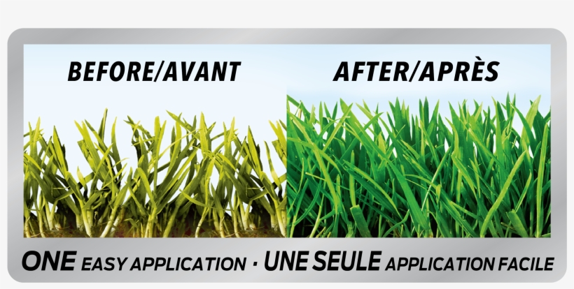 Before And After - Scotts Lawn Response 911, transparent png