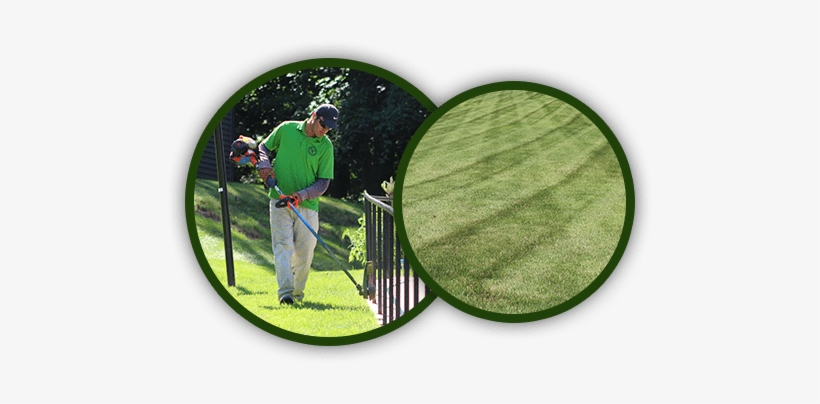 Lawn & Shrub Inc, transparent png