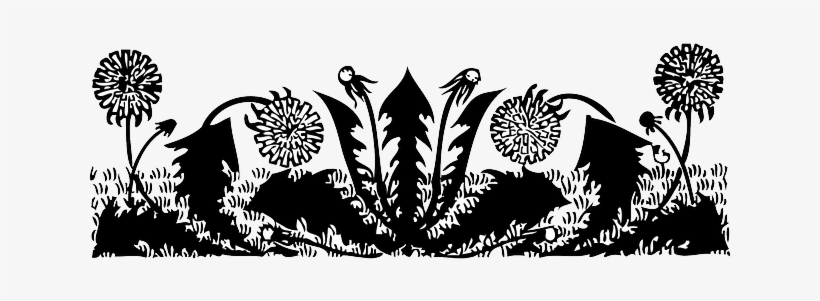 Dandelion Outline, Yellow, Plants, Flowers, Dandelions, - Dandelion Leaves Black And White, transparent png