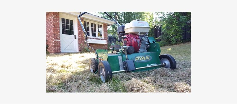 Our Power Raking Service Will Effectively Remove Dead - Lawn, transparent png