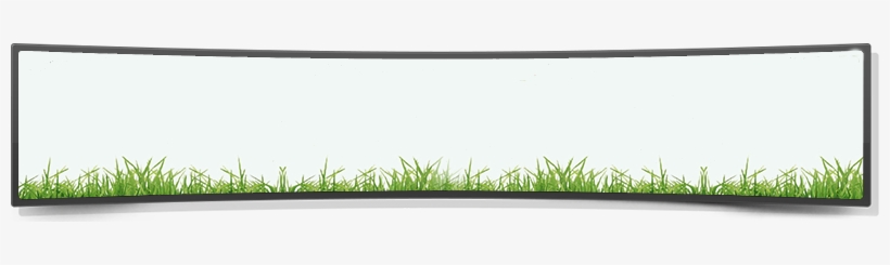 Get Your Lawn Green & Healthy In 2-3 Months With Core - Sweet Grass, transparent png