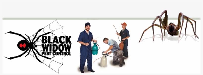 Utah Readers - Black Widow, transparent png