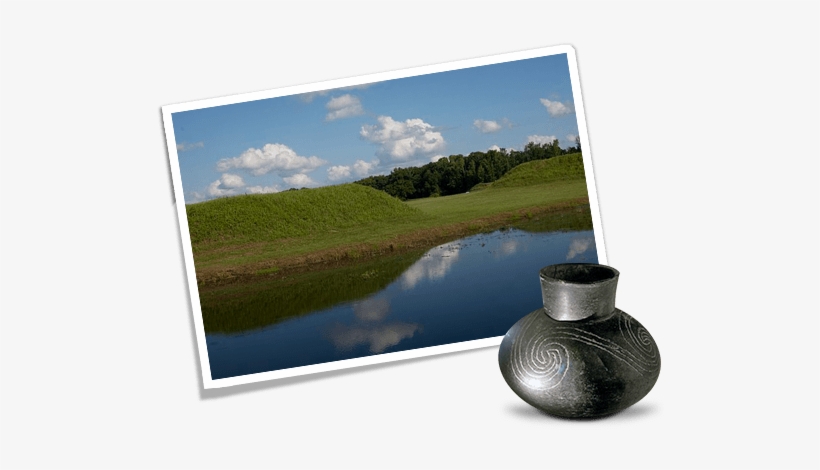 Shark Teeth, Pows & The Lost Realm Of The Black Warrior - Alabama, transparent png