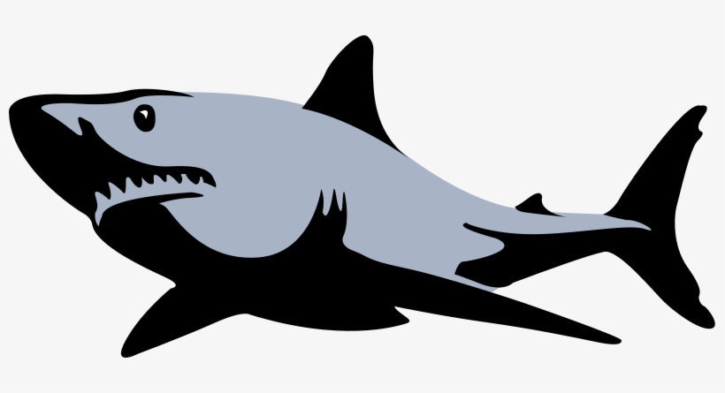Shark Png Images, transparent png