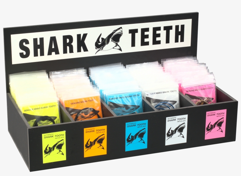 Kit 1-cs - Cerebrospinal Fluid, transparent png