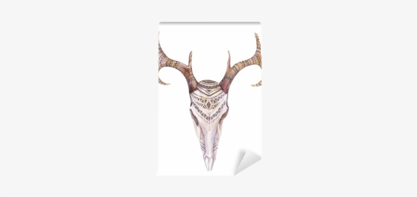Watercolor Skull With Flowers , Arrows And Feathers - Cow Boho Animal Painting, transparent png