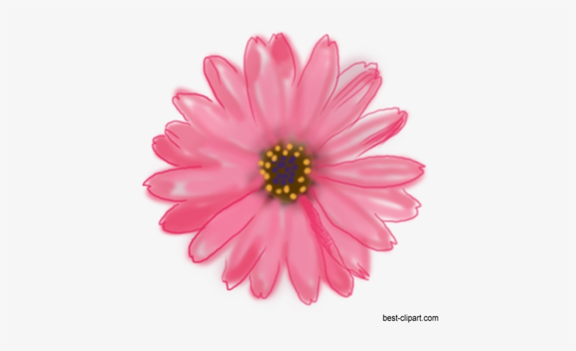 Pink Painted Flower Clip Art Free - Pink Gerbera, transparent png