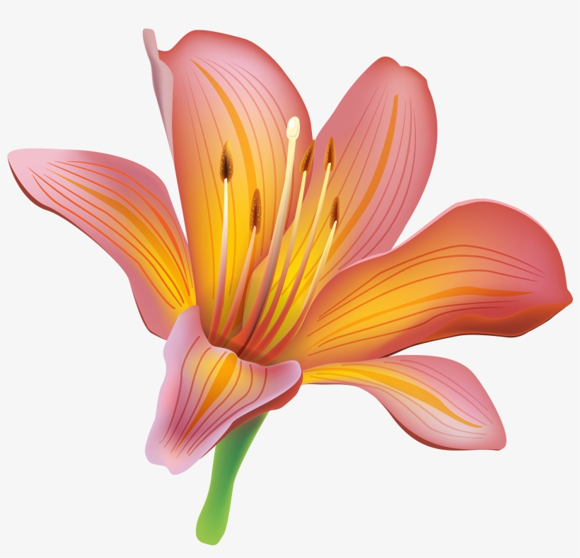 Lily Flower Clipart Web Png - Lily Clipart, transparent png
