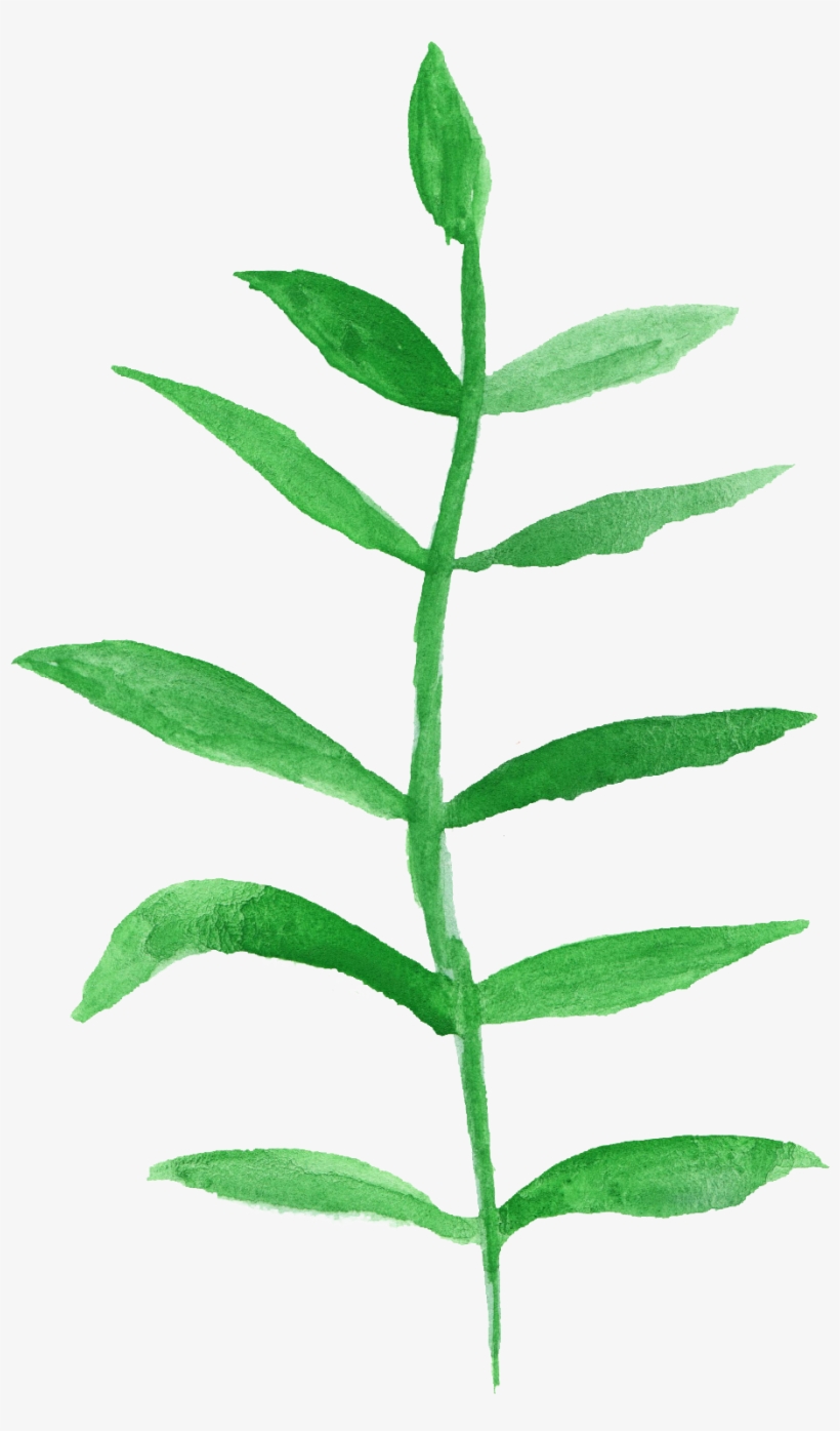 Free Download - Watercolor Painting, transparent png