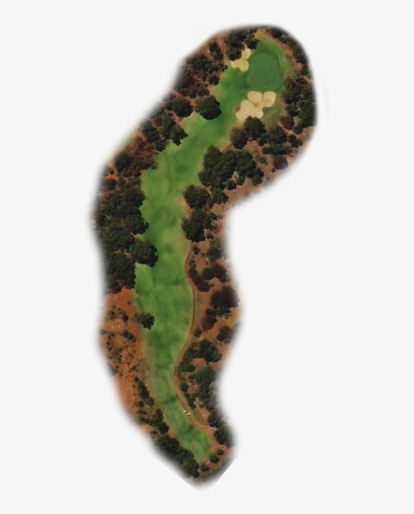 7, transparent png