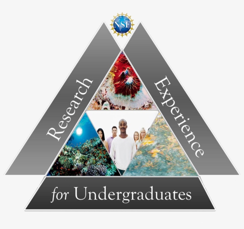 Earth Science Resources In The Electronic Age, transparent png