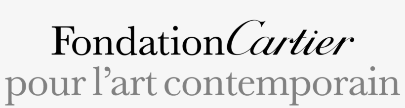 Education And Related Experience - Fondation Cartier Pour L Art Contemporain Logo, transparent png