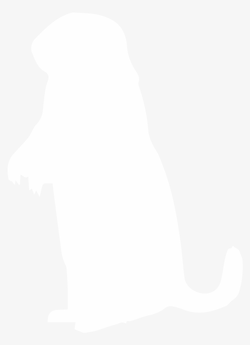 Wildlife Removal, Pest Control - Shirt, transparent png