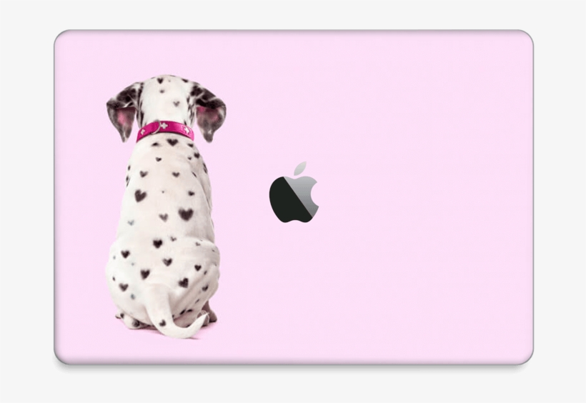 Dalmatian Puppy - Dalmatian Dog, transparent png