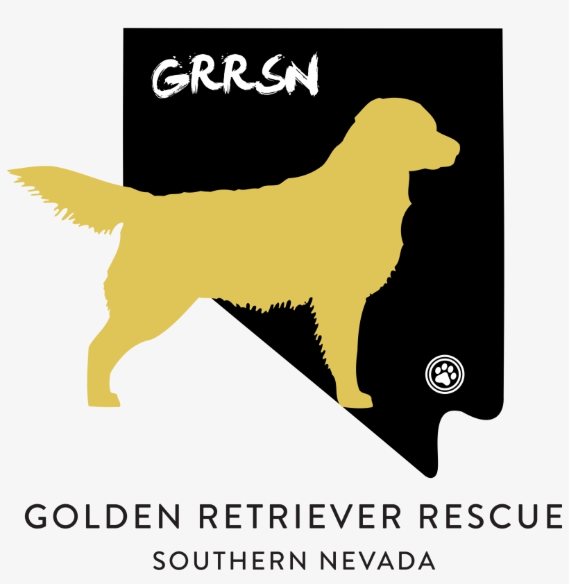 Golden Retriever Rescue Southern Nevada - Golden Retriever, transparent png