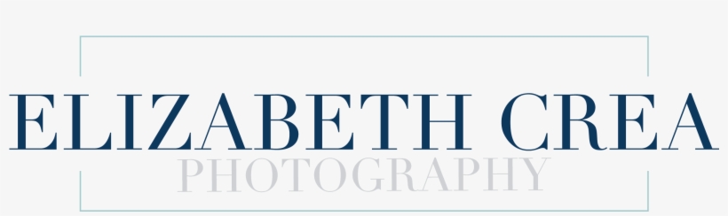 Elizabeth Crea Photography, Llc - Maurice's Jewelers, transparent png
