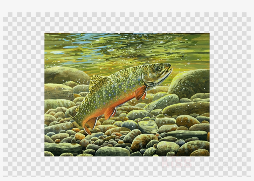Trout In Water Clipart Salmon Brook Trout - Wrigley Field, transparent png