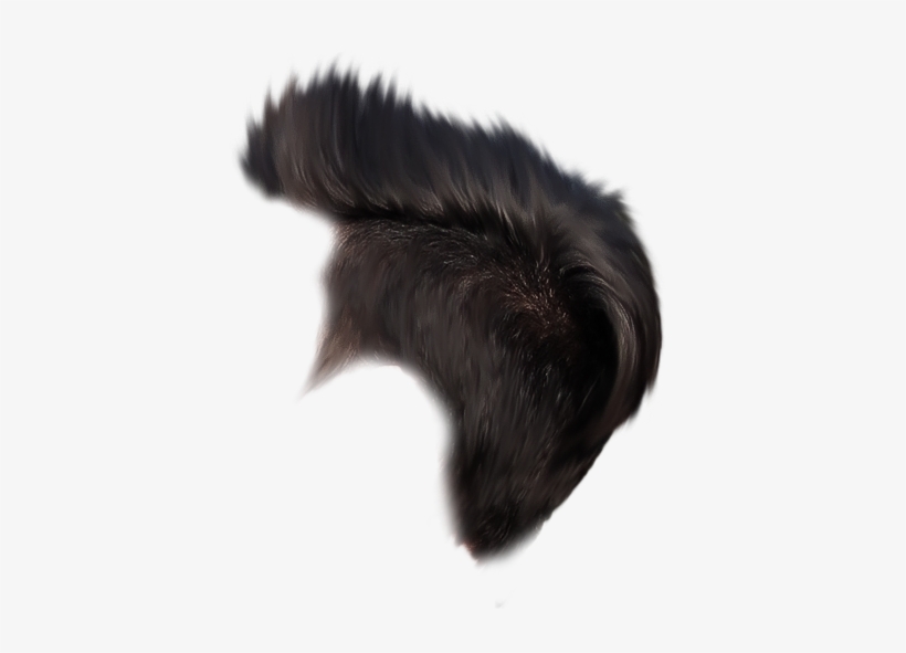 Aman Creation 631x7 Png Download Pngkit