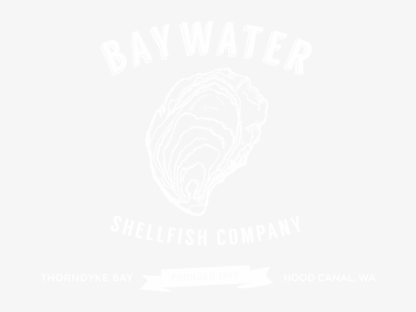 Enjoy Baywater Sweet Oysters From Thorndyke Bay - Baywater Shellfish, transparent png