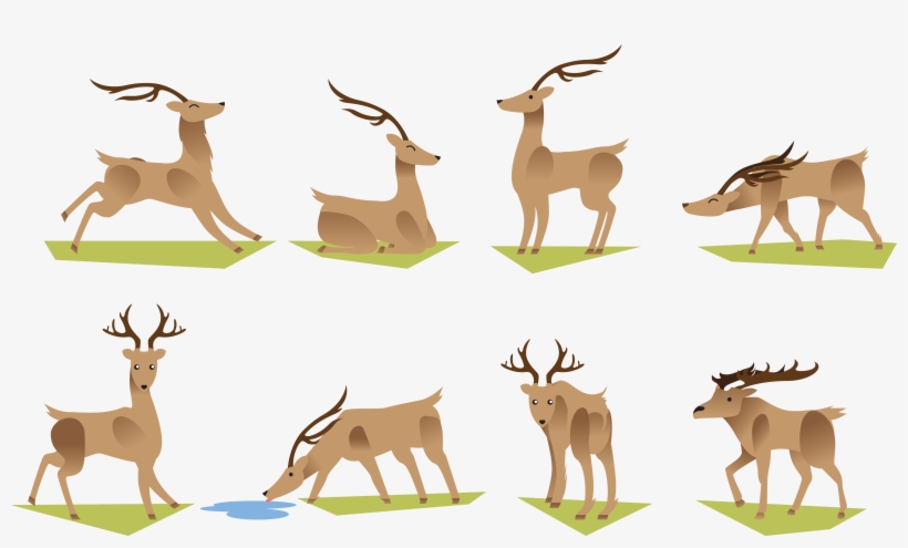 Cartoon Deer Grazing Transprent - Drawings Of Deer Grazing, transparent png