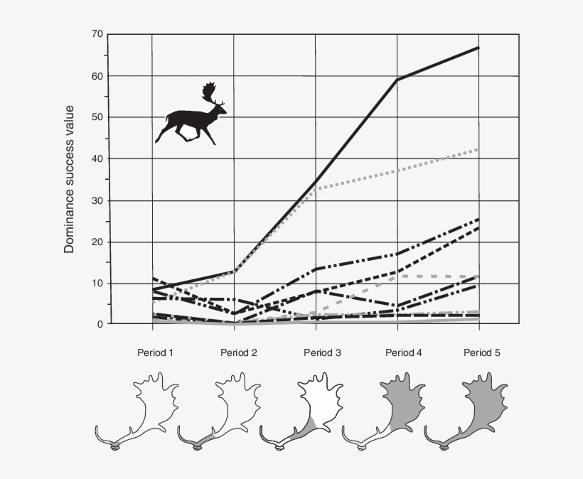 Dominance Success Values Calculated After The Method - Fallow Deer Antler Development, transparent png