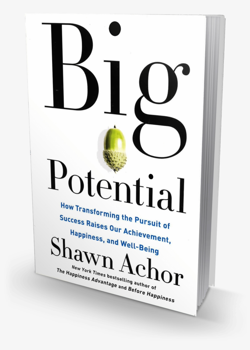 How Transforming The Pursuit Of Success Raises Our - Big Potential: How Transforming The Pursuit Of Success, transparent png