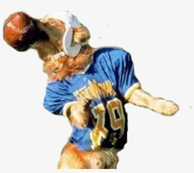 Touchdown - Air Bud Png, transparent png