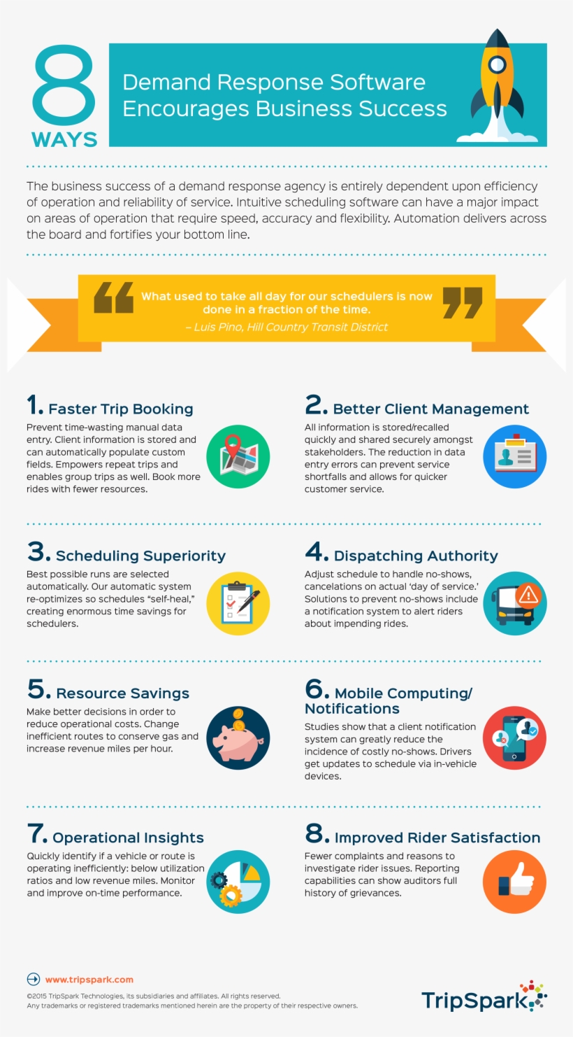 Ada Website Compliance Infographic, transparent png