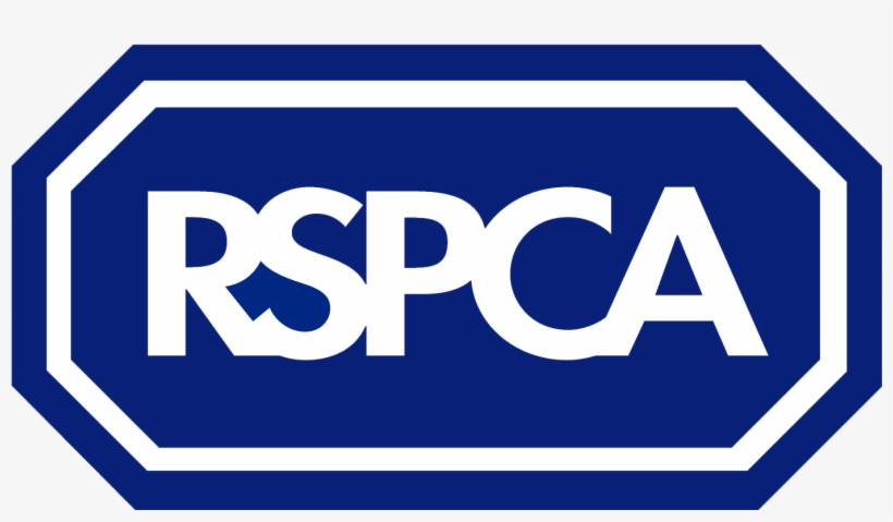 Rspca Animal Shelter 360 Walkthrough - Royal Society For The Prevention Of Cruelty, transparent png
