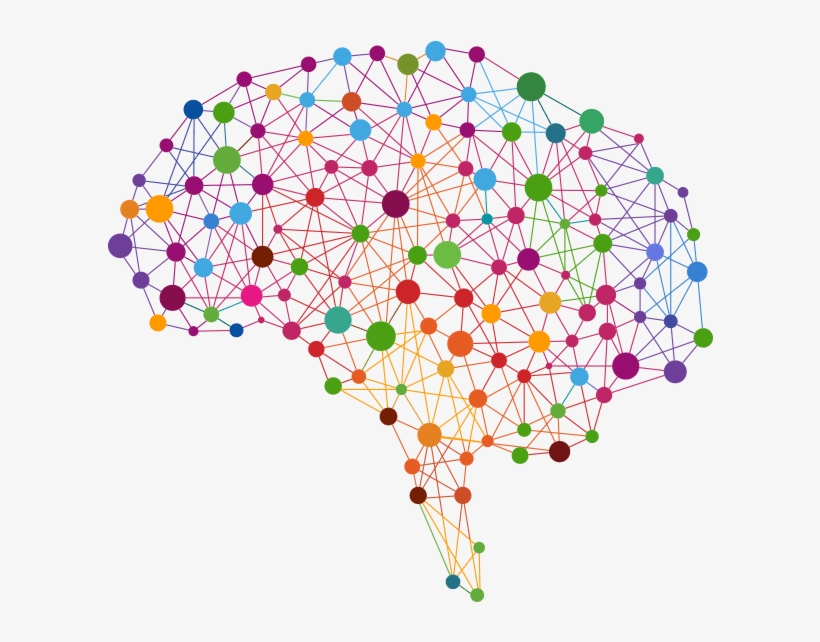 Brain - X Factor: Tapping Into The Strengths, transparent png