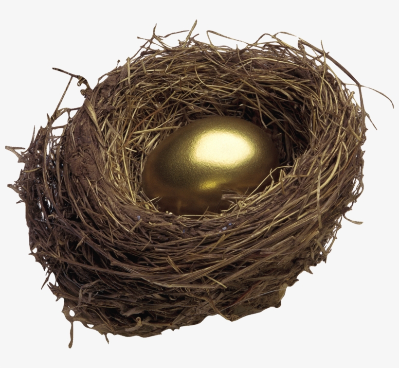 Nest Png, Download Png Image With Transparent Background, - Nest, transparent png