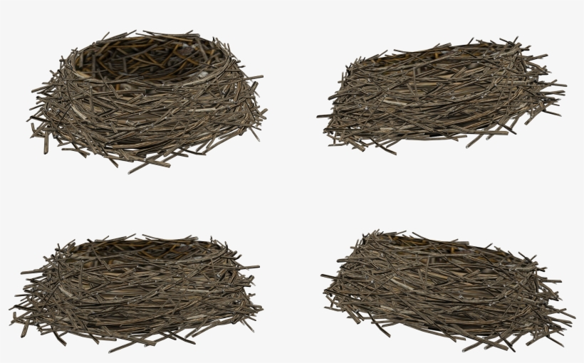 Гнездо Png, transparent png