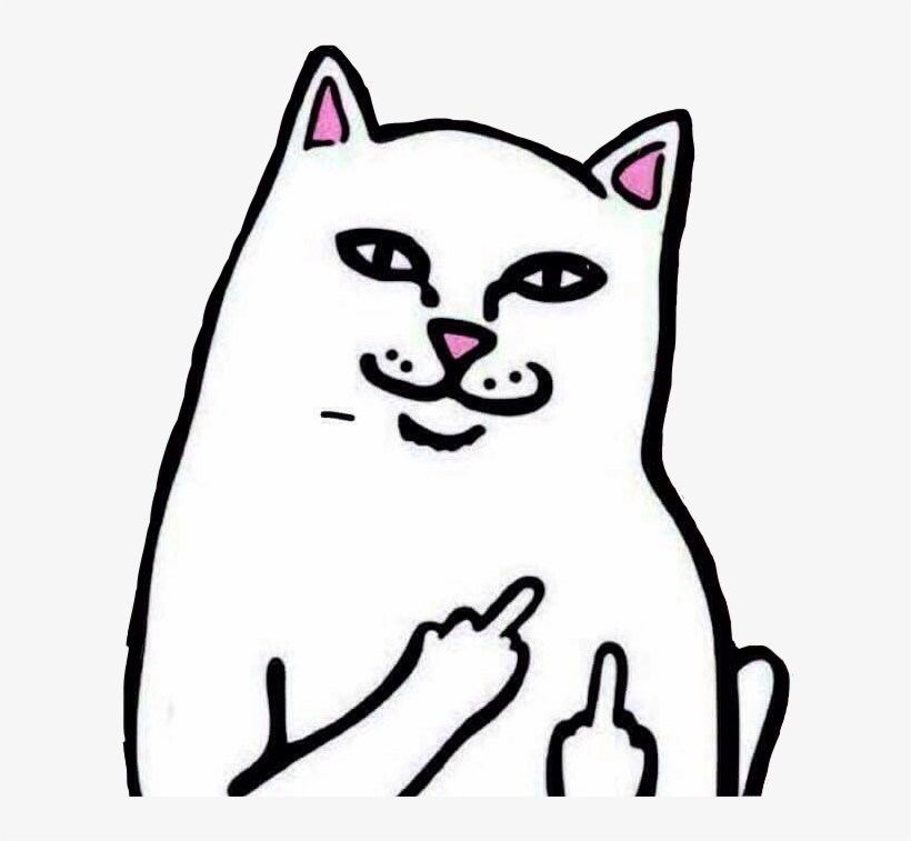 Middlefinger Cat Cats Funnycat Meme Memesfreetoedit - Middle Finger Cat Png, transparent png