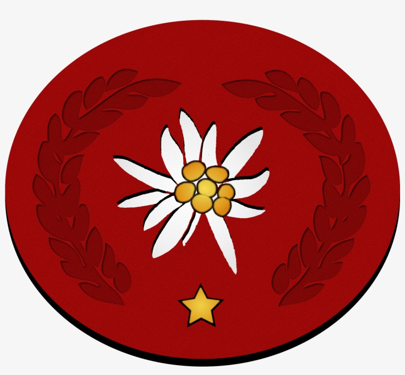 Edelweiss-auszeichnung 1 Stern - Edelweiss Pirates Logo, transparent png