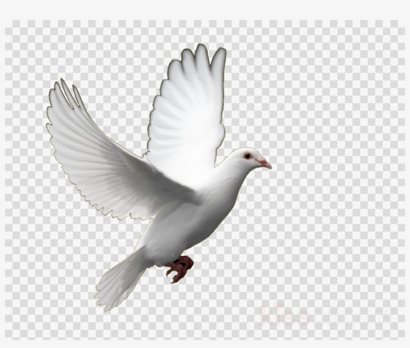 Christmas Tree Png In Ribbon, transparent png