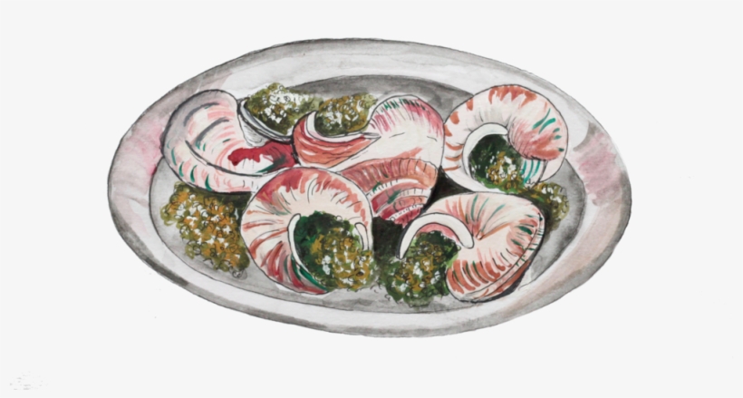 Escargo Colour No Shadow - Ceramic, transparent png