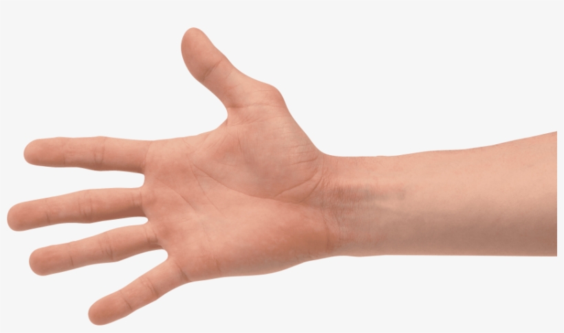 Free Png Four Finger Hand Png Images Transparent - Transparent Hand Png, transparent png