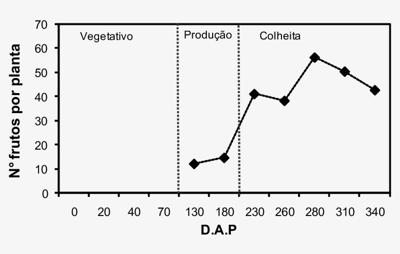 Índices De Produtividade Do Mamoeiro Em Função Dos - Papaya, transparent png