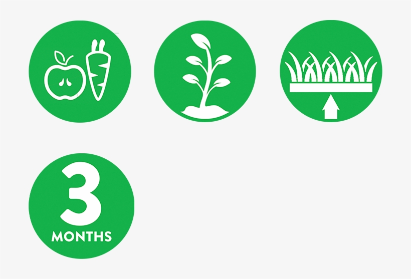Ultima-soil - Soil, transparent png