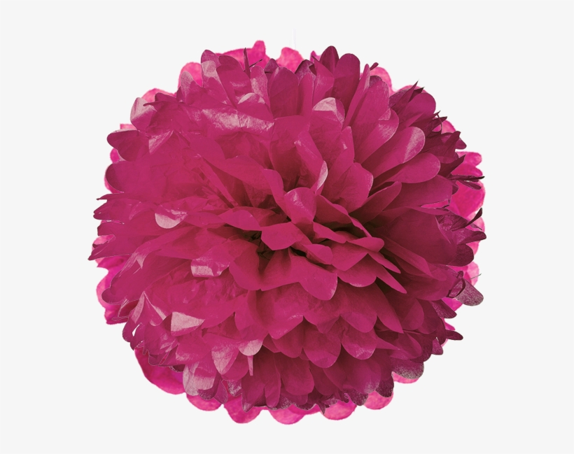 Dark Magenta Tissue Pom Poms - Turquoise Blue 30 Inch Tissue Paper Flower Pom-pom, transparent png