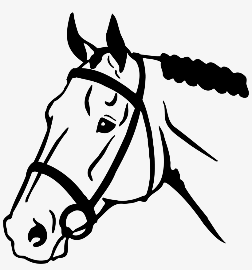 Horse Head Png Clipart - Horse Vector, transparent png