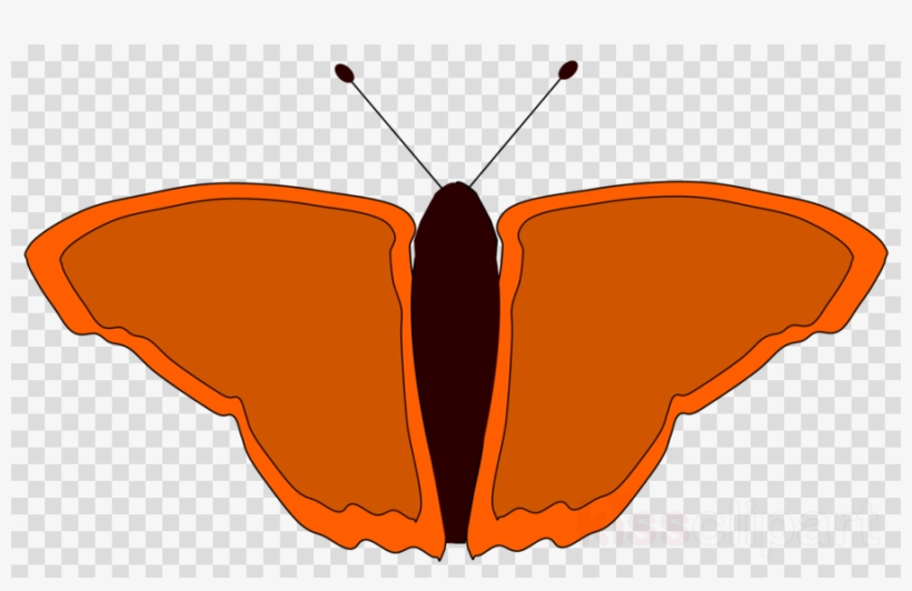 การ์ตูน ผีเสื้อ ภาพ โปร่งใส Clipart Butterfly Clip - Clip Art, transparent png