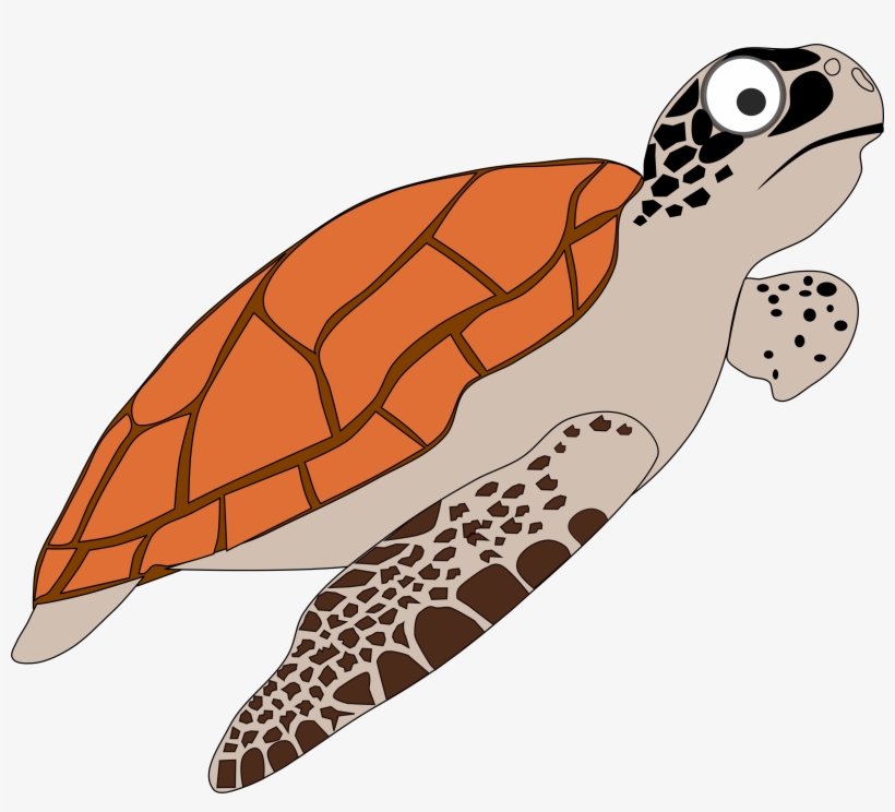 This Free Icons Png Design Of Cartoon Turtle 1, transparent png