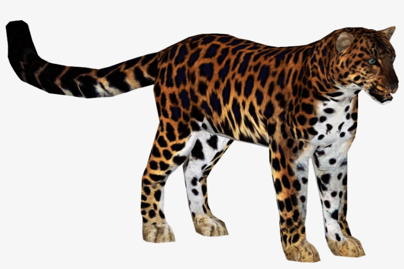 Amur Leopard 4 - Zoo Tycoon 2 Amur Leopard, transparent png