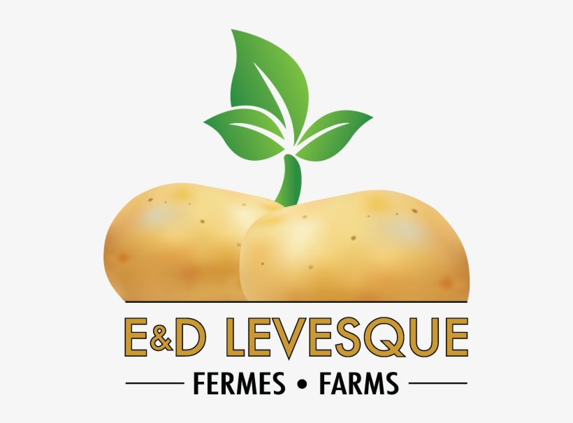 Potato Farmer Png Image Freeuse - Potato, transparent png