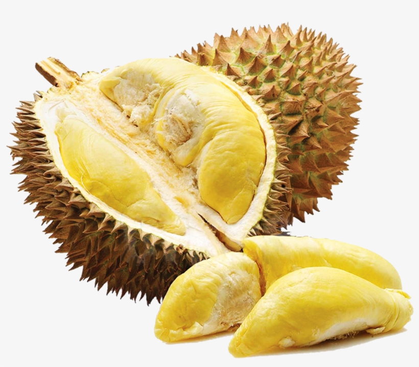 Durian Png - Organic Jackfruit Seeds Nutritious Fruit Seeds For, transparent png