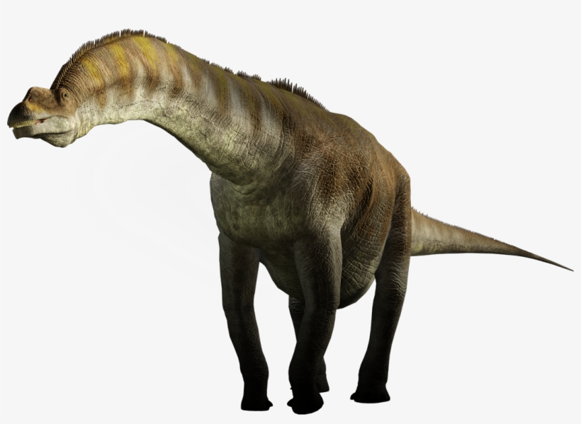 Big Animal In World, transparent png