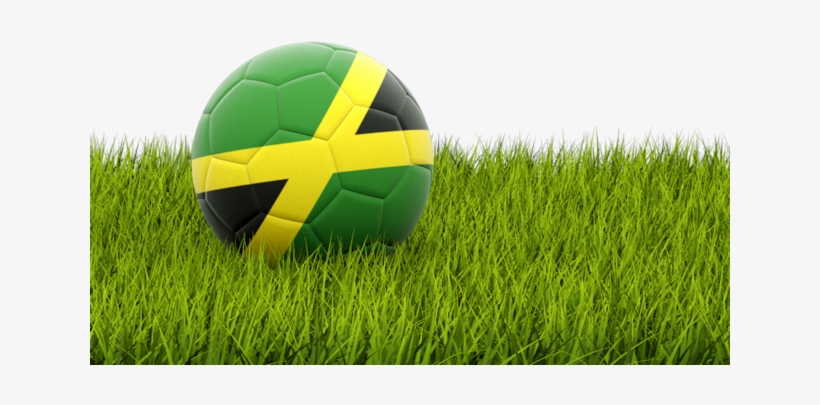 Football In Grass Png, transparent png