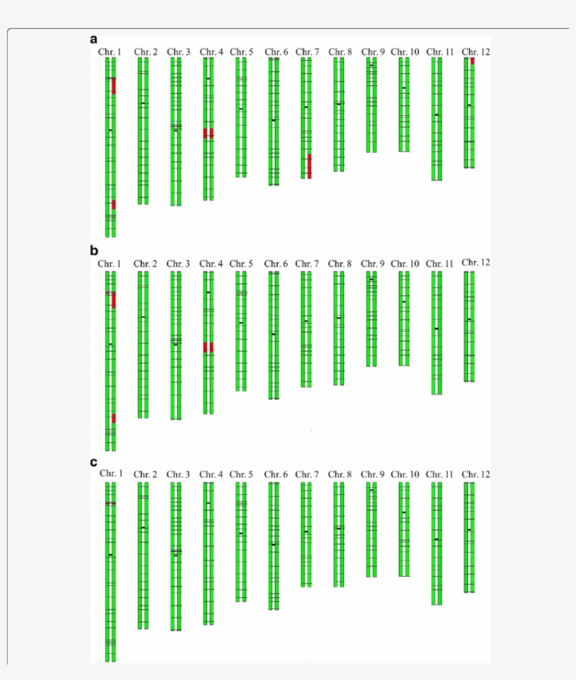 Ggt Of The Selected Lines - Colorfulness, transparent png
