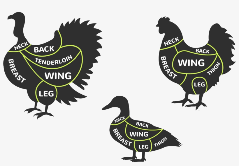 Poultry - Chicken, transparent png